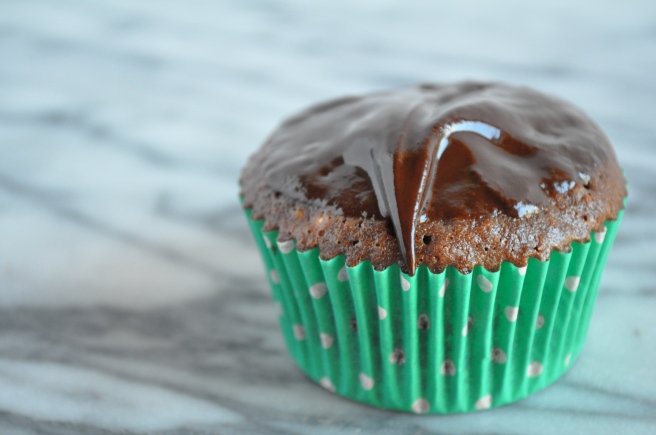 Double Chocolate Cupcakes